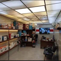 دوربین + دزدگیر آموزا