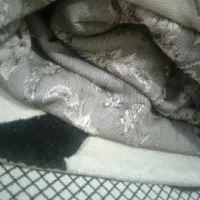 قالی ۱۲ متری گردویی تمیزبدون پارگی