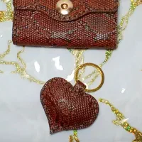 جا کارتی آکاردئون