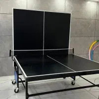 miz پینگ پنگ لوازم تفریحی ویلا باغی حیاط فضای باژ|ورزشهای توپی|سیرجان, |دیوار