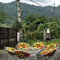 ویلا نوساز جنگلی مسیرالَسبِلَنگا روزانه کلبه(تخفیف