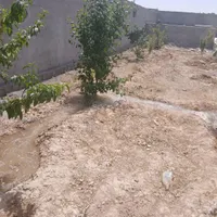 باغچه ویلایی ۵۰۰مترروستای ماریان آرامگاه فردوسی|فروش خانه و ویلا|مشهد, درزآب|دیوار