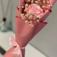 گل ربانی شاخه ای ۲۰|گل مصنوعی|قم, نخودی|دیوار