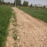 فروش زمین کشاورزی شهرستان سعادتشهر .پاسارگاد|فروش زمین و ملک کلنگی|پاسارگاد, |دیوار