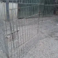 قفس بازی