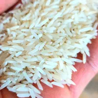 عمده برنج درجه یک پاکستانی  استخوانی