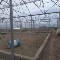 گلخانه 5800متر چهاردیواری شده|فروش دفتر صنعتی، کشاورزی، تجاری|رباط‌کریم, پیغمبر|دیوار