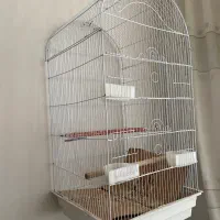 قفس پرنده