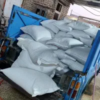 گندم برات آبیاری بوجاری وسم زدایی شده|عمدهفروشی|باوی, |دیوار