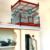 قفس قناری سره مرغ عشق مینا فنچ