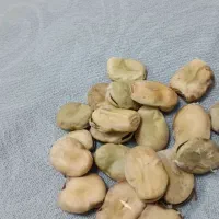 باقلا خشک محلی