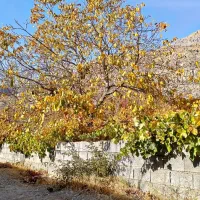 فروش باغچه تفریحی لوکیشن استثنایی|فروش زمین و ملک کلنگی|سیسخت, |دیوار