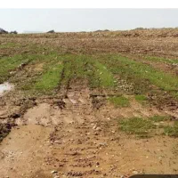 1600متر-زمین-کشاورزی-با-2-35-ساعت-آب-چاه-عمیق