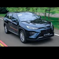 تویوتا وایلندر ۲۰۲۵ خشک