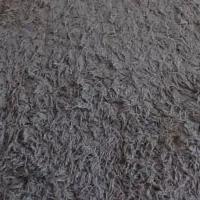 موکت پالاز