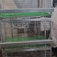 قفس مرغ تخم گذار|لوازم جانبی حیوانات|تهران, شهرک رضویه|دیوار