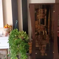 مبلمان ۹ نفره با ویترین بدون هیچ پارگی و خط و خش|مبلمان خانگی و میز عسلی|اصفهان, خوراسگان|دیوار