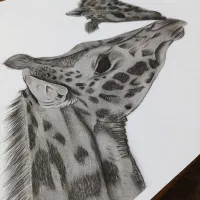 آموزش با قیمت مناسب