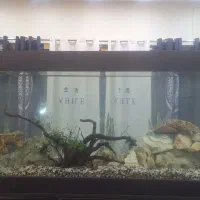 آکواریوم ۲ متری همراه چارچوب فلزی و کمد ام دی اف