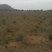باغ 240 متری صالح اباد