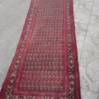 فرش کناره دستباف ۴متری|فرش|بروجرد, |دیوار