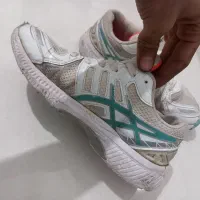 کتونی|کیف، کفش، کمربند|زنجان, |دیوار