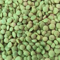 خرید و فروش و بوجاری انواع حبوبات