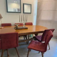 صندلی ناهار خوری برند نیلپر