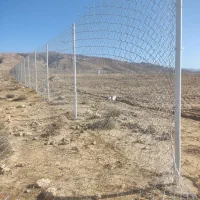 فنس کشی|خدمات باغبانی و درختکاری|داراب, |دیوار