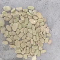 باقلی