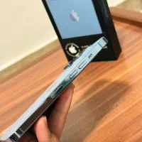 iPhone 13pro|موبایل|پرند, فاز ۶|دیوار