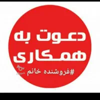 استخدام حسابدار خانم