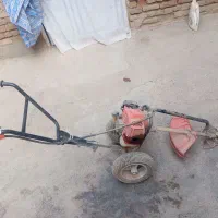 علف زن همون یونجه بیچن