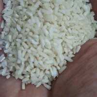 برنج هاشمی (لاشه) محصول تازه|خوردنی و آشامیدنی|رشت, گلباغ نماز|دیوار