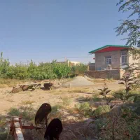 فروش خونه (فوری)