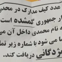 مدارک گمشده