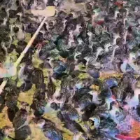 جوجه بوقلمون برنز «عمده »