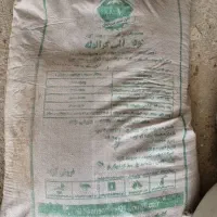 کودآلی گرانه