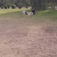 مغازه-فاز2-خیابان7فرهنگیان