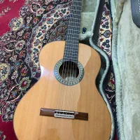 گیتار اسپانیایی کلاسیک فلامنکو الحمبرا Alhambra p5|گیتار، بیس، امپلیفایر|قوچان, |دیوار