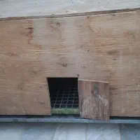 قفس یا جفتی نر|لوازم جانبی حیوانات|اصفهان, جویباره|دیوار