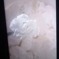 کتاب نیم جوش گوسفندی