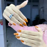 مدل برای کاشت