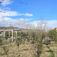 1100 متری تماما مسکونی|فروش زمین و ملک کلنگی|رانکوه, |دیوار