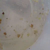 عسل چین اول
