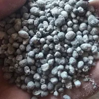 کود سوپر فسفات تریپل|خدمات باغبانی و درختکاری|کرمانشاه, |دیوار