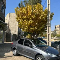 206 sd|خودرو سواری و وانت|چناران, |دیوار