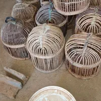 قفس فروشی|لوازم جانبی حیوانات|جوانرود, |دیوار