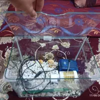 آکواریوم با همه لوازم 900 فروش فوری|ماهی|مشهد, موعود|دیوار