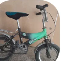 دوچرخه شماره دوازده